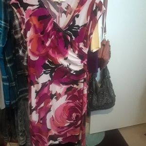 Plus size Evan Picone dress